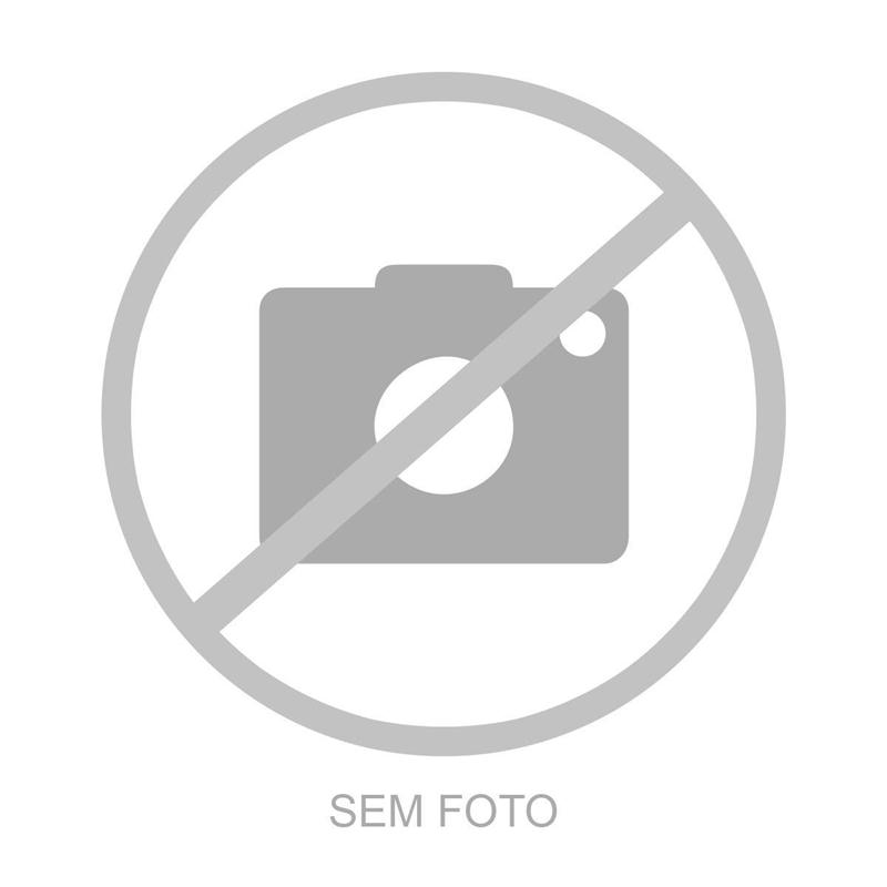 CAMINHAO SCANIA SCANIA R400